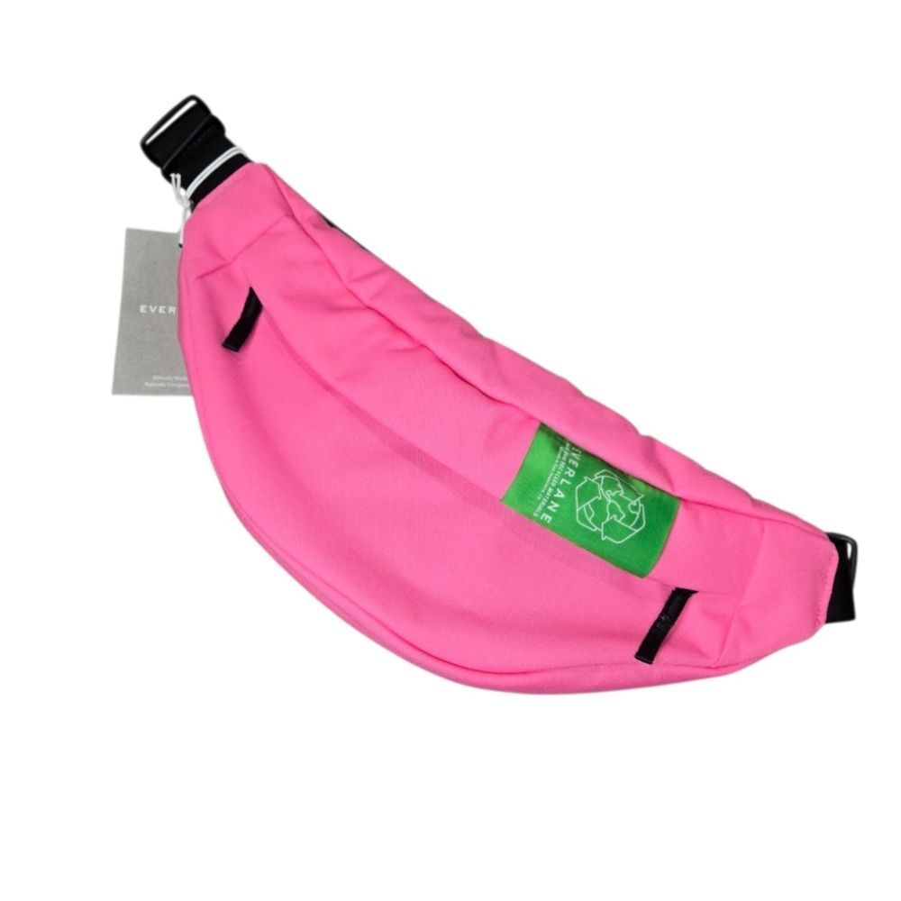 Everlane Renew Transit Fanny Bag Pack